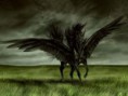 /album/fotogaleria/pegaso-negro-jpg/